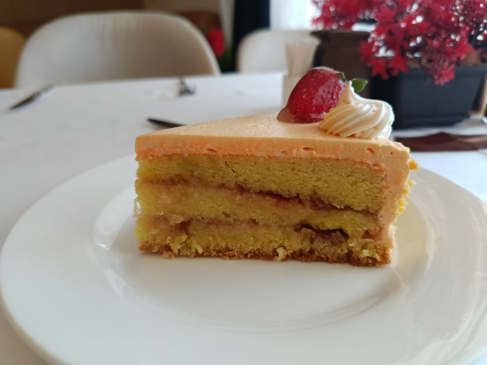 Orange Cake 
